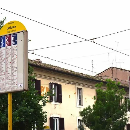 Le Rondini A Roma-3